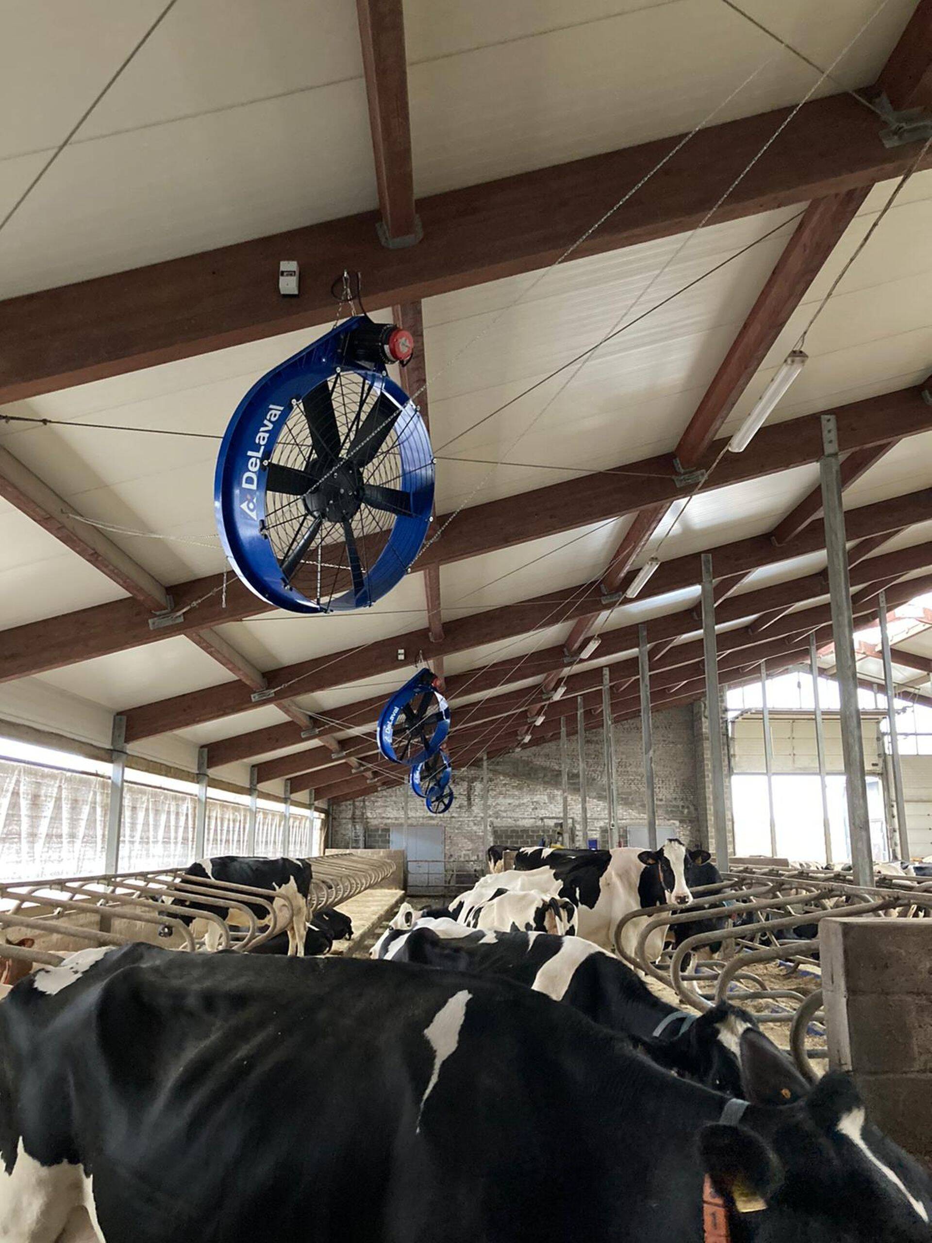 DeLavali ventilaatorid (galerii)