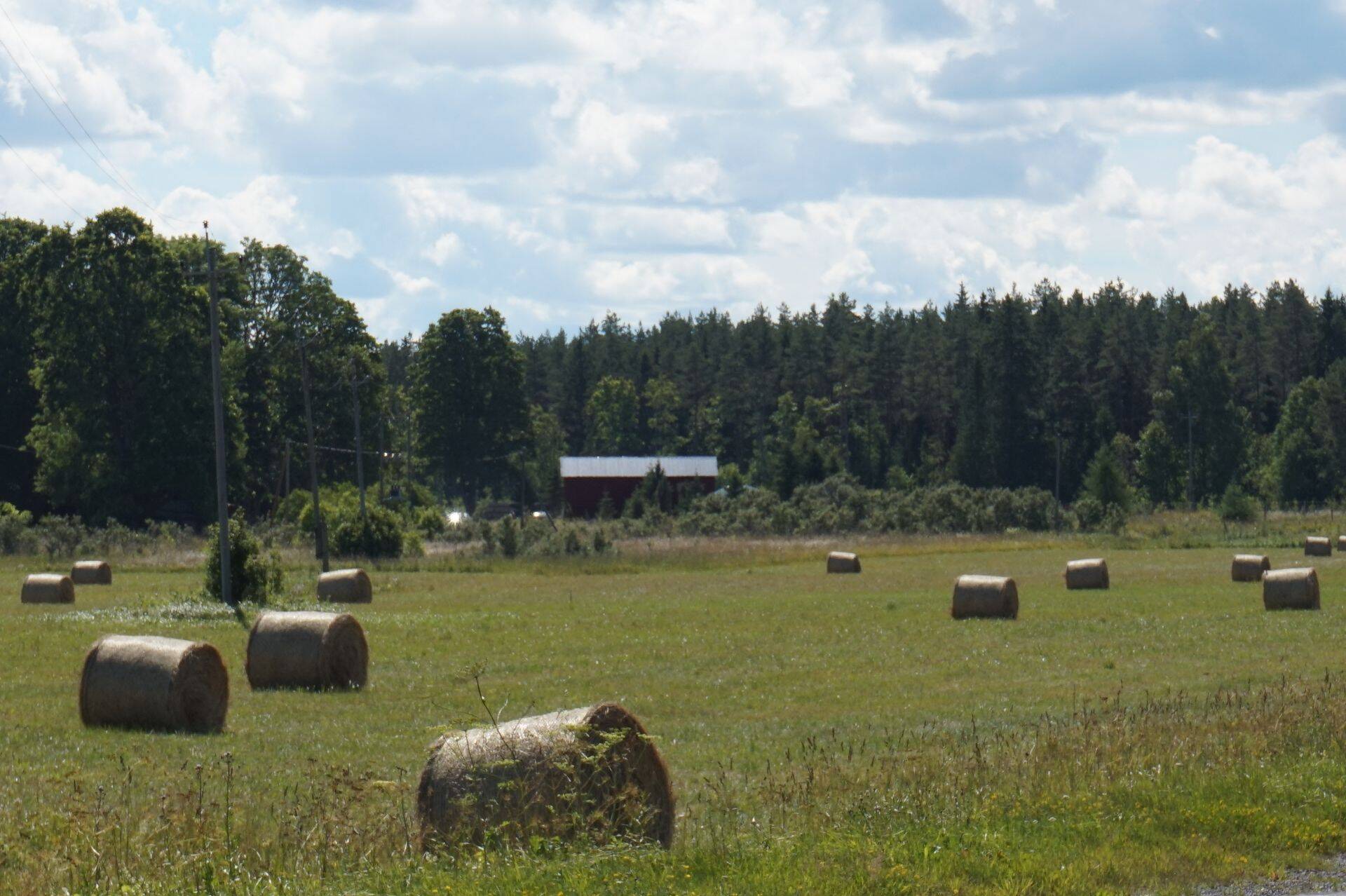 Maamaja Eesti maa-piirkondadele iseloomulikus hajaasustuses