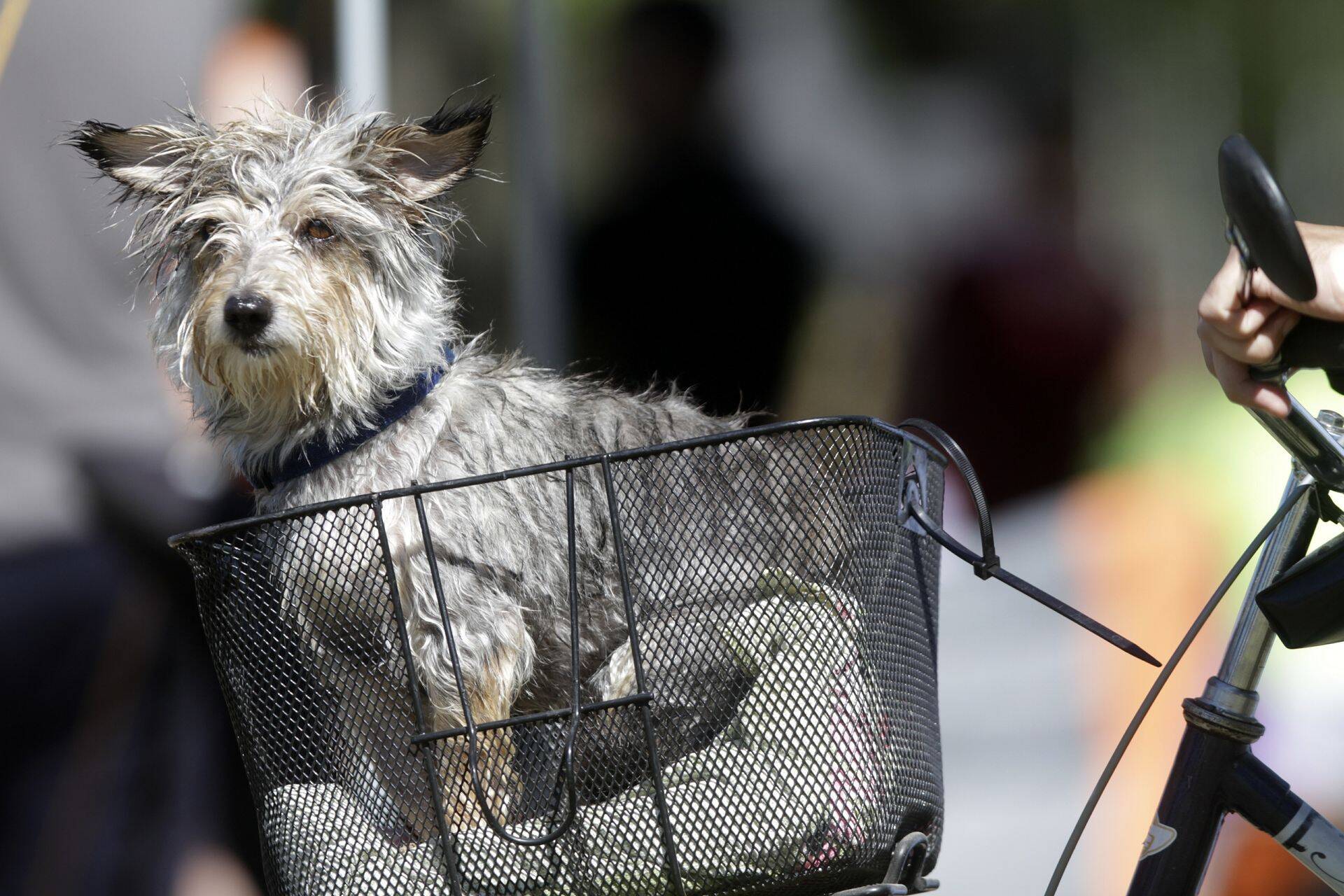 Turismiarenduskeskus toetab üritusi, mis toovad kokku külastajaid kogu maailmast.