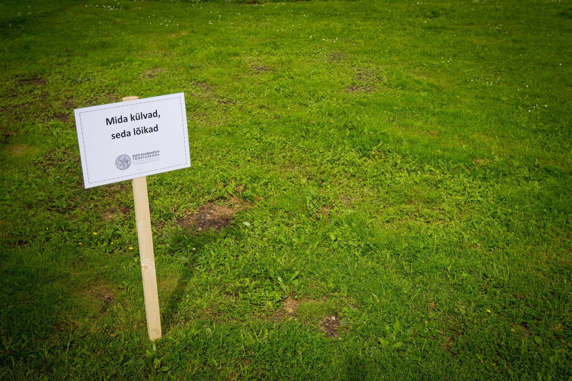 Kaubandus-Tööstuskoja ärihooaja avamine 2013