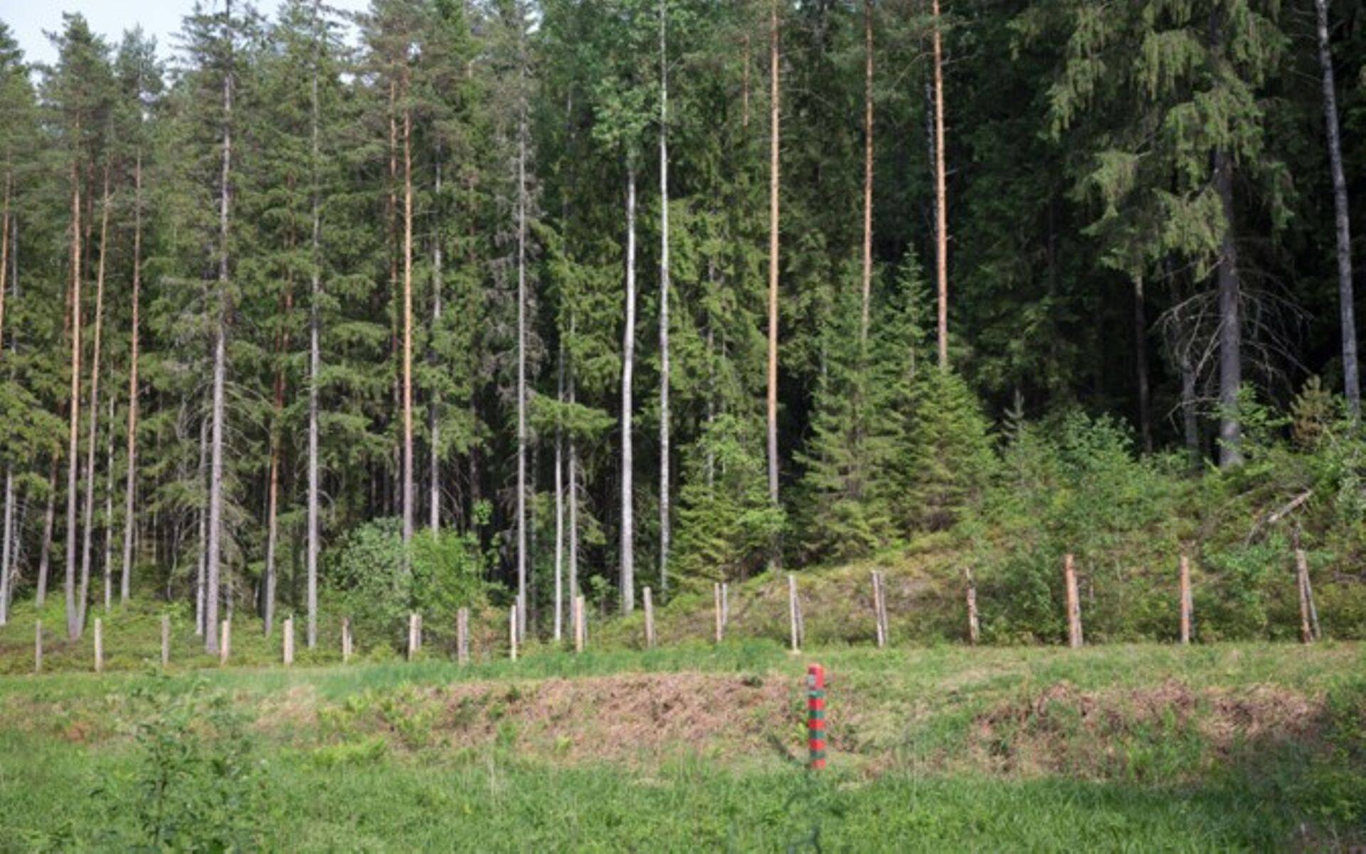 Комиссии Рийгикогу ознакомятся со строительными работами на восточной границе