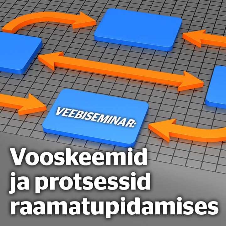 Järelvaadatav: Vooskeemid ja protsessid raamatupidamises