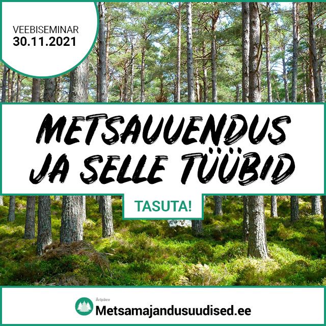 Veebiseminar: Metsauuendus ja selle tüübid