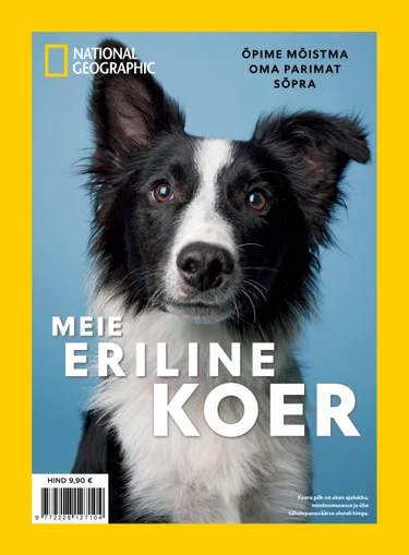 Meie eriline koer, National Geographicu erinumber