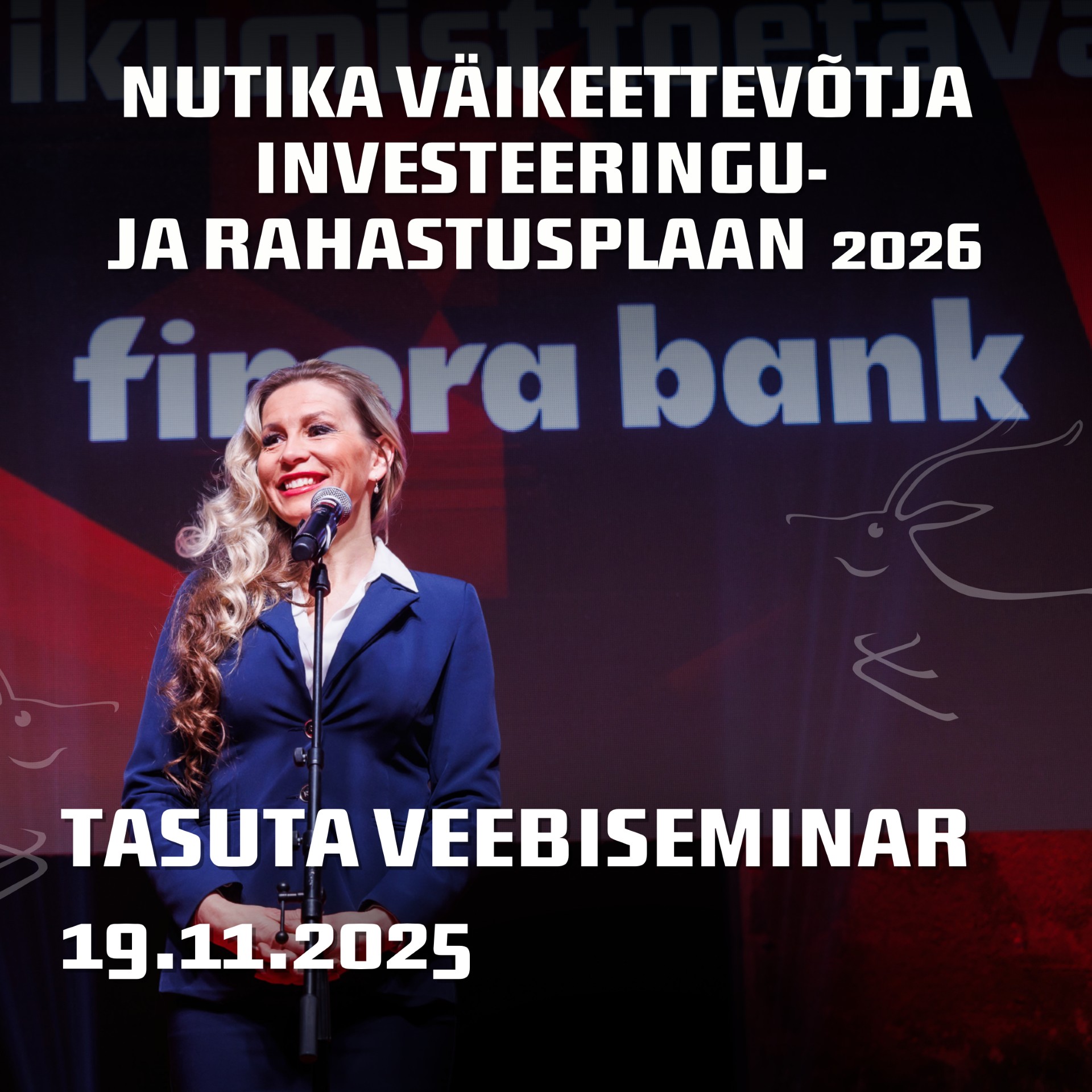 Nutika väikeettevõtja investeeringu- ja rahastusplaan 2026