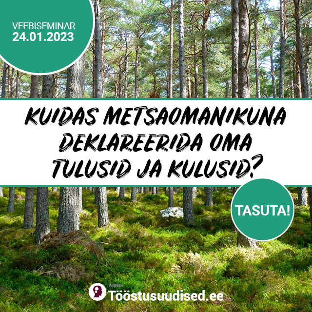 Kuidas metsaomanikuna deklareerida oma tulusid ja kulusid?