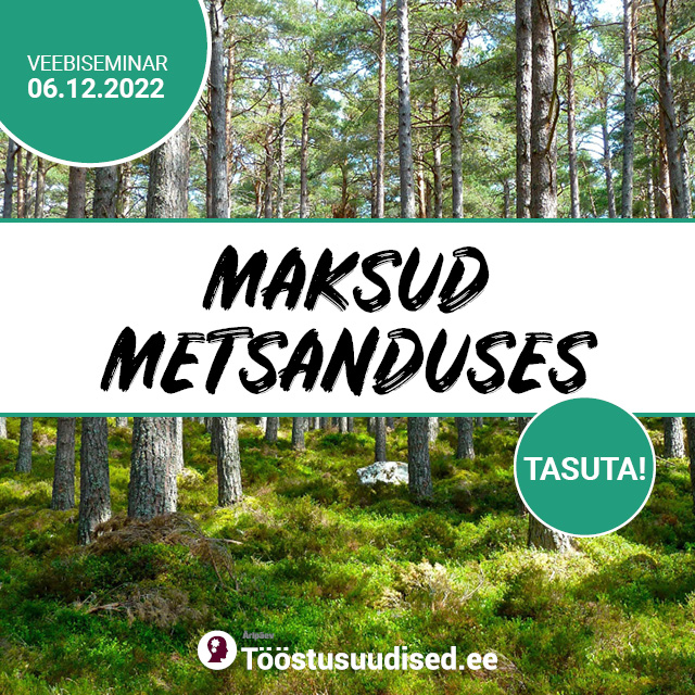 Maksud metsanduses