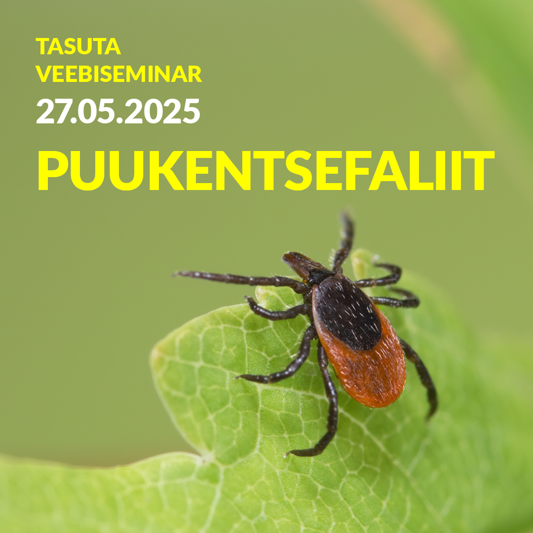 Puukentsefaliit