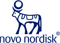 Nn Logo Rgb Blue Small