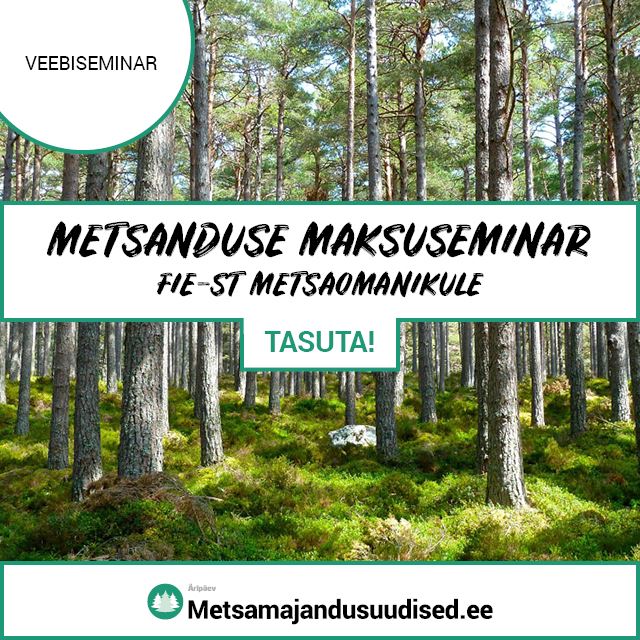 Järelvaadatav: Metsanduse maksuseminar – FIE-st metsaomanikule