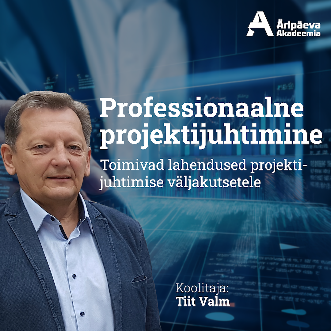Professionaalne projektijuhtimine