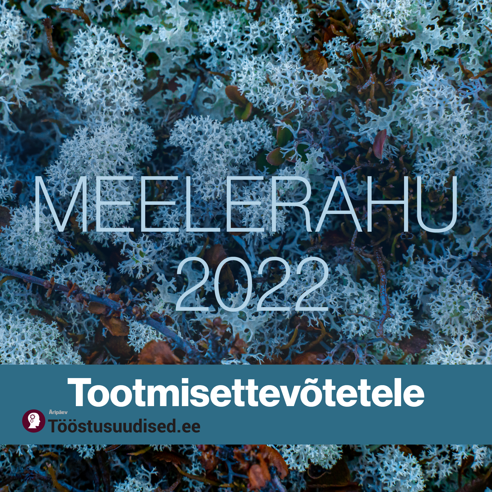 Meelerahu konverents 2022 tootmisettevõtetele