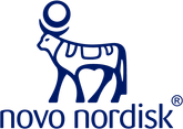Nn Logo Rgb Blue Small