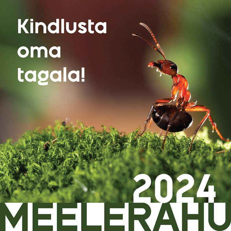 Meelerahu 2024