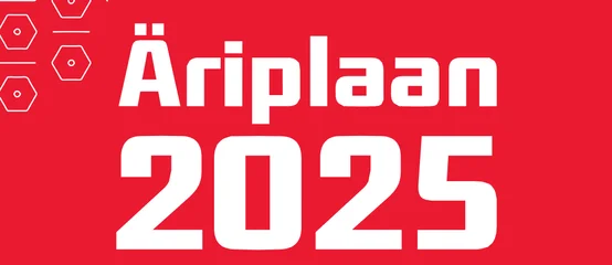 Äriplaan 2025