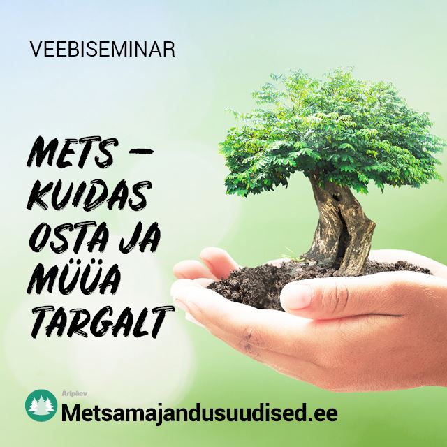 Järelvaadatav: Mets - kuidas osta ja müüa targalt?