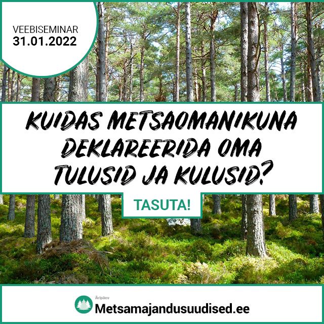 Veebiseminar: Kuidas metsaomanikuna deklareerida oma tulusid ja kulusid?