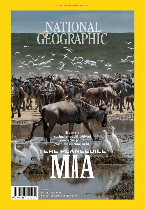 National Geographic Eesti, 12/2021